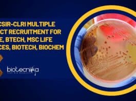 CSIR-CLRI Research Positions