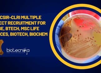 CSIR-CLRI Research Positions