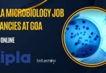 Cipla Microbiology Job Vacancies at Goa, Apply Online Now Cipla Microbiology Vacancy