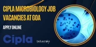 Cipla Microbiology Vacancy