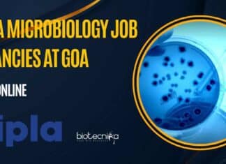 Cipla Microbiology Vacancy