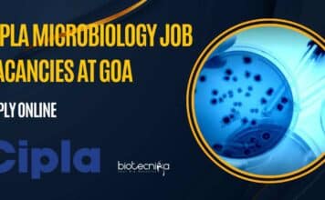 Cipla Microbiology Job Vacancies at Goa, Apply Online Now Cipla Microbiology Vacancy