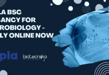 Cipla BSc Vacancy For Microbiology