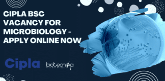 Cipla BSc Vacancy For Microbiology