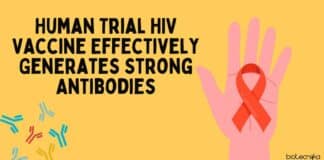 Human Trial HIV Vaccine Effectively Generates Strong Antibodies