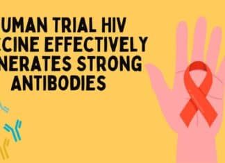 Human Trial HIV Vaccine Effectively Generates Strong Antibodies Human Trial HIV Vaccine Effectively Generates Strong Antibodies