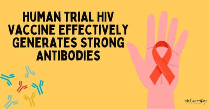 Human Trial HIV Vaccine Effectively Generates Strong Antibodies