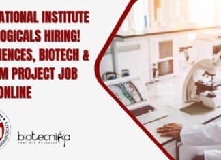 Govt NIB Hiring