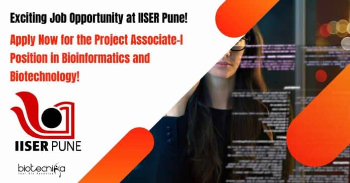 Project Assistant Position For MSc