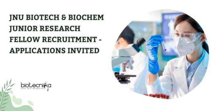 JNU Junior Research Fellow Recruitment
