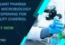 Jubilant Pharma MSc Microbiology Job