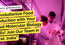Zero Cow Factory Molecular Biology, Biotechnology Research Job - Apply Now
