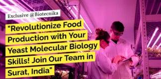 Zero Cow Factory Molecular Biology, Biotechnology Research Job - Apply Now