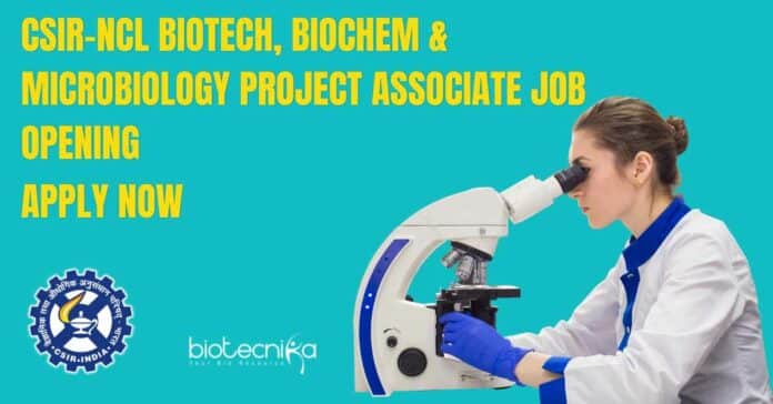 CSIR-NCL Biotech Project Vacancy Available