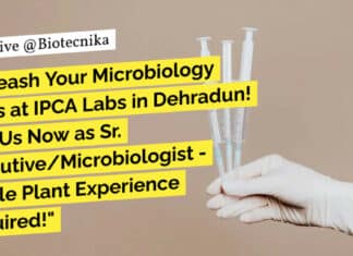 IPCA Labs Hiring For Microbiologist Role – Apply Now IPCA Labs Hiring For Microbiologist Role - Apply Now
