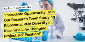 RCB Faridabad Bioinformatics, Biotech, Genomics Project JRF Positions - Apply Online