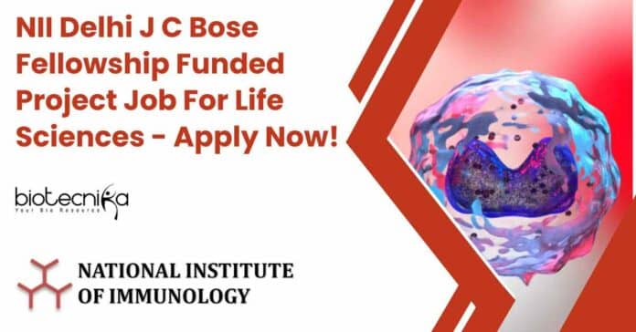 NII Delhi Project Research Job Opening