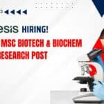 Novonesis Biotechnology Research Jobs