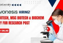 Novonesis Biotechnology Research Jobs