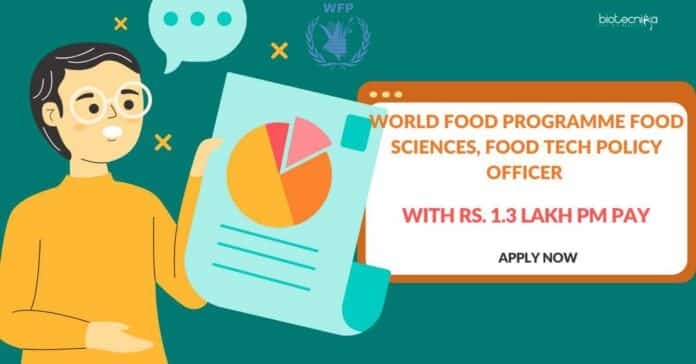 World Food Programme Jobs