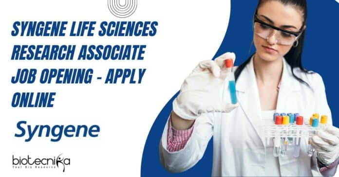Syngene Research Jobs Life Sciences