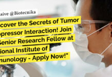 MSc Biology SRF NII Delhi Job Opening - Applications Invited