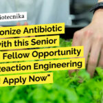 IIT Hyderabad BTech & MTech Biotechnology Research Fellow Recruitment – Applications Invited IIT Hyderabad Biotechnology Research Fellow Recruitment - Applications Invited