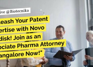 Novo Nordisk Associate Patent Attorney