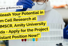 AIMMSCR, Amity University Noida – Apply for the Project Assistant Position Now! AIMMSCR Amity University Noida