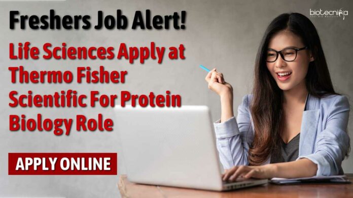 Freshers Vacancies at Thermo Fisher