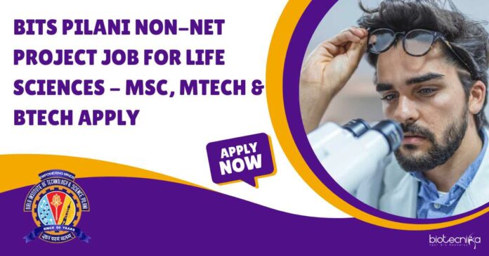 BITS Pilani Non-NET Project Job