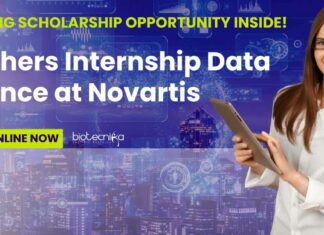 Freshers Internship Data Science