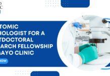 Postdoctoral Research Fellowship at Mayo Clinic