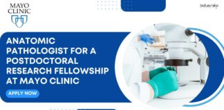 Postdoctoral Research Fellowship at Mayo Clinic