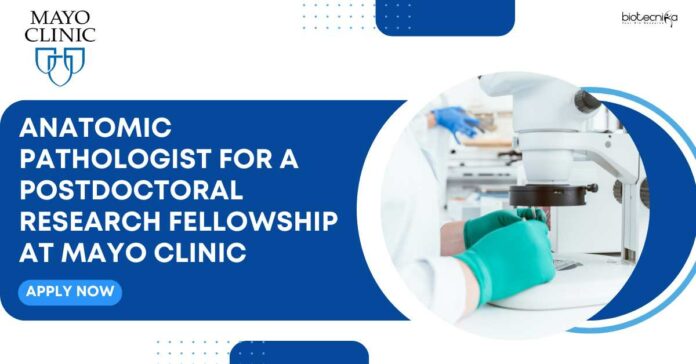 Postdoctoral Research Fellowship at Mayo Clinic