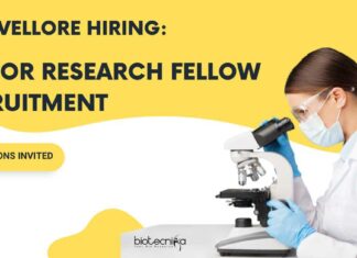 CMC Vellore Junior Research Fellow Recruitment