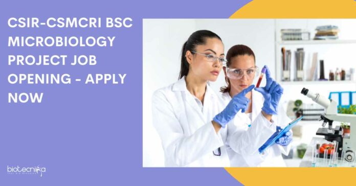 CSIR-CSMCRI BSc Microbiology Project Job