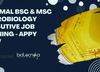 Piramal Microbiology Executive Job