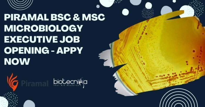 Piramal Microbiology Executive Job