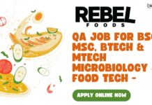 Rebel Foods QA Job For BSc