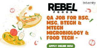 Rebel Foods QA Job For BSc