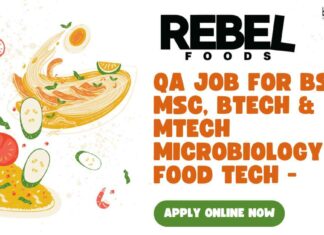 Rebel Foods QA Job For BSc