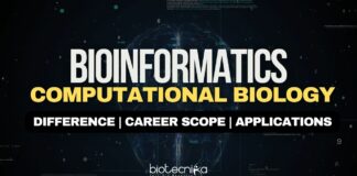 Bioinformatics & Computational Biology Career