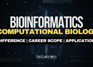 Bioinformatics & Computational Biology Career
