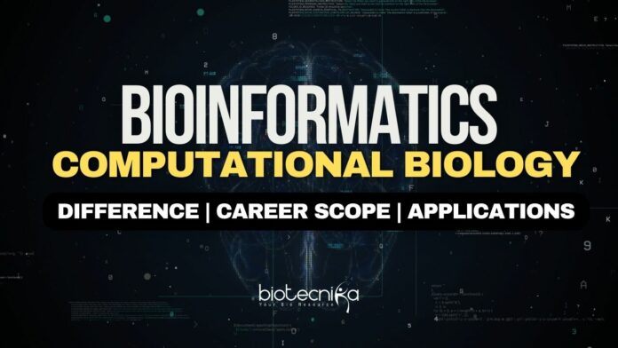 Bioinformatics & Computational Biology Career
