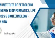 IIPE Bioinformatics Research Project Job