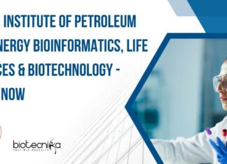 IIPE Bioinformatics Research Project Job