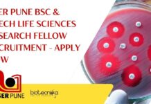 IISER Pune BTech Life Sciences Job