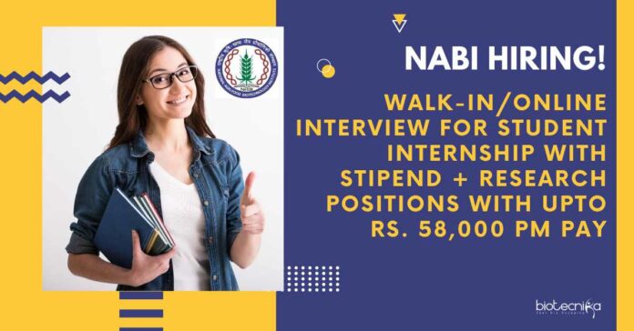 NABI Student Internship Life Sciences