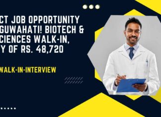 Project Job Opportunity at IIT